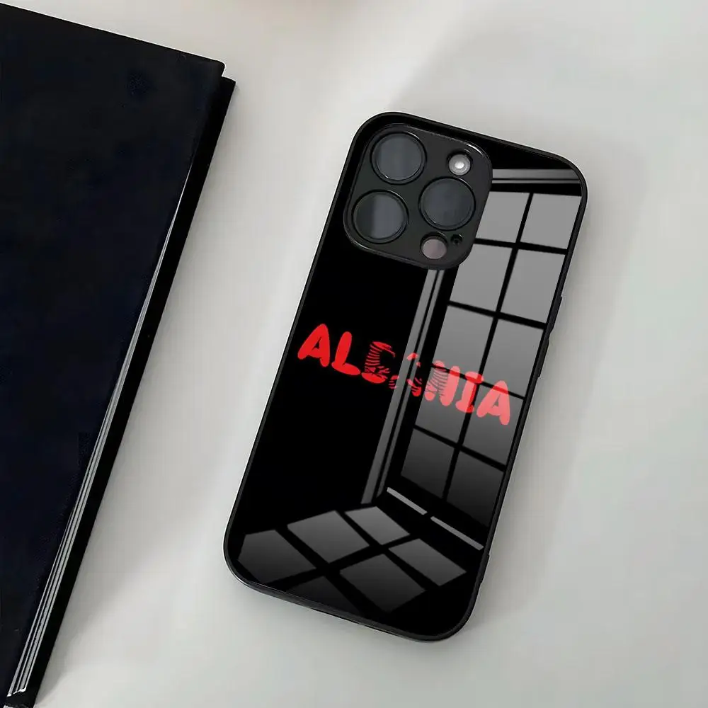 Albania Flag Phone Case For Iphone 16 15 13 12 Personalized Printing 14 11 Pro Max Mini X Xr Xs 8 7 Puls 6 Glass Luxury Coque 20