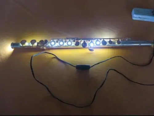 

Sax Clarinet Flute Oboe LED Double-sided Lamp Detection Tool 12V 40 cm