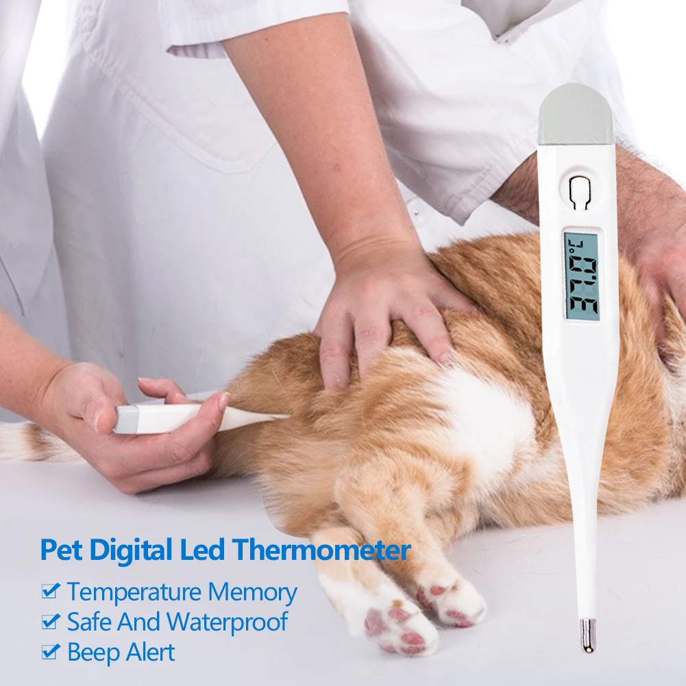 

Цифровой светодиодный термометр для домашних животных, водонепроницаемый электронный термометр для собак, кошек, лошадей, свиней, овец, вет...