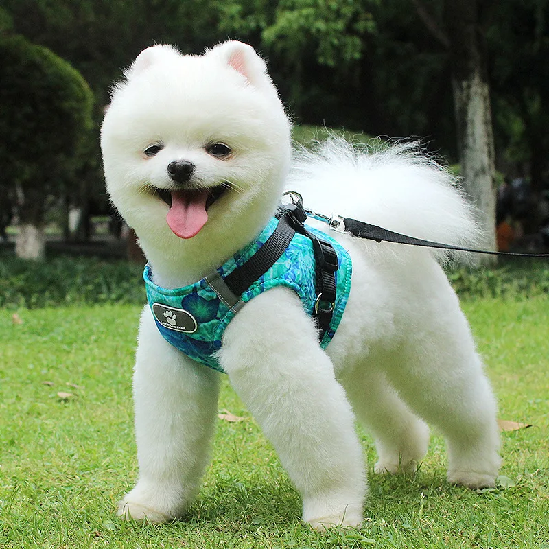 

Pet Chest Harness Teddy Puppy Breathable Chest Harness Reflective Vest Dog Leash Personalised Dog Collar and Leash Set