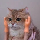 Лижущая кошка, маленькая перчатка, маленький набор пальцев, массажные товары для маленьких рук и собак, игрушки для кошек, интерактивные игрушки для котят, игрушка для кошек