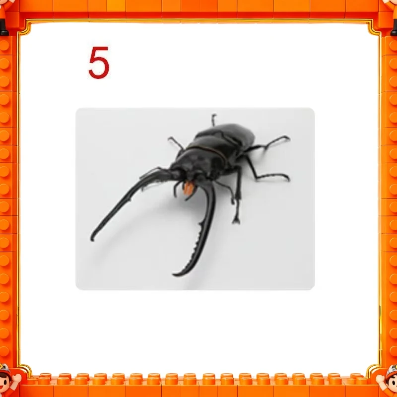 2026 Оригинальная модель Bandai GP Ikimono Taikan Stag Beetle 11 (Prosopocoilus Giraffa) в наличии, игрушка-подарок (art.: 3920d83c2efbf) - 3920d83c2efbf