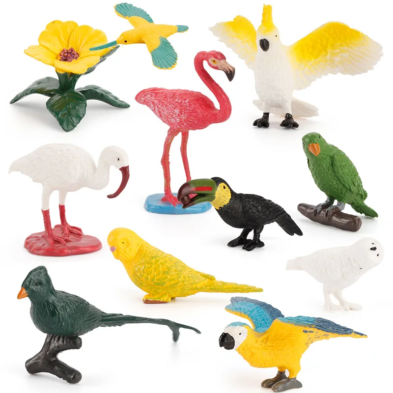 

Children's Simulation Animal Bird Model Parrot Flamingo Toucan Hummingbird Wild Bird Mini Science and Education Ornaments Toy