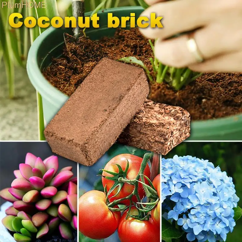 

6L Natural Sphagnum Moss Orchid Flowers Moisturizing Organic Fertilizer Succulent Plant Water Moss Nutrient Soil Garden Supplies