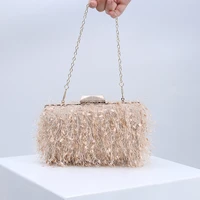 bags for women evening bags tassel bag handbag new 2022 designer luxury shoulder bag wedding clutch bag