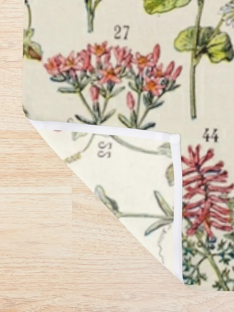 Фото Adolphe Millot - Plantes Medicinales 02 - Винтажная французская ботаническая иллюстрация, занавеска для душа №2