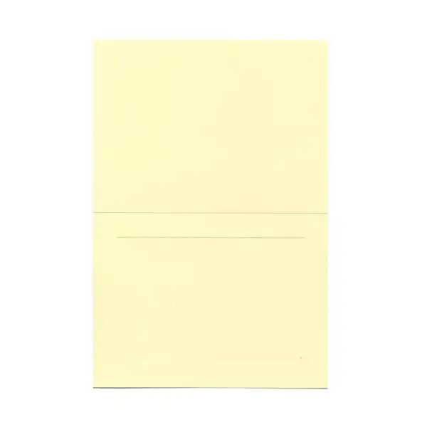 

Cards, 4 5/8 x 6 1/4, 100/Pack, Ivory Panel
