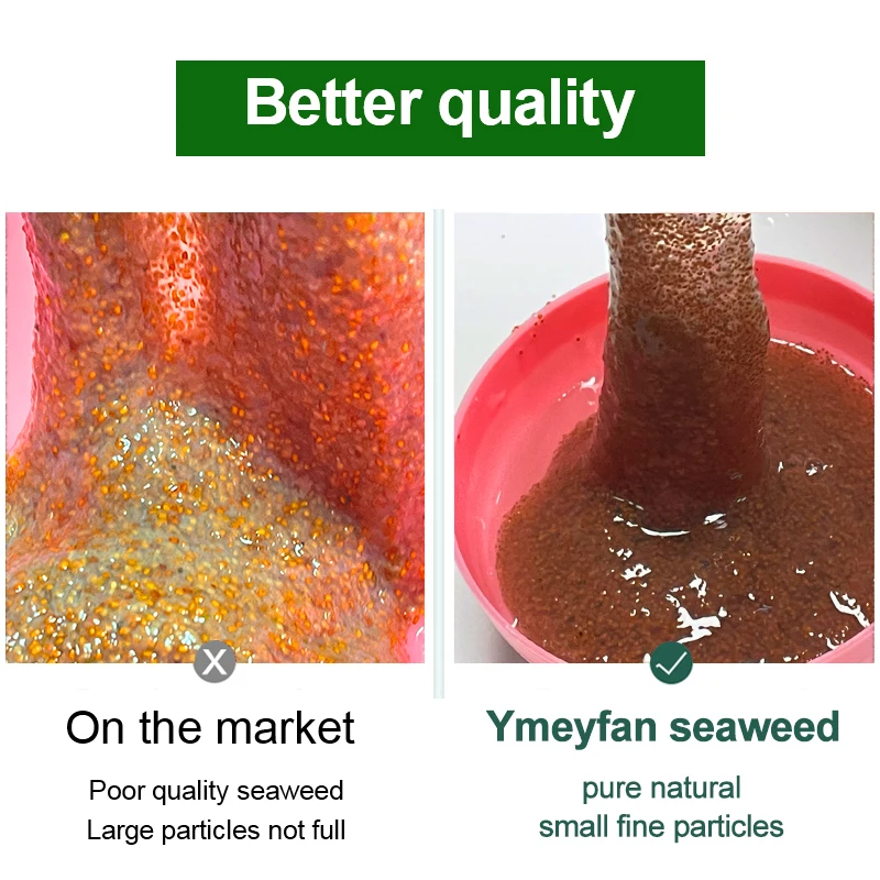 1000 г/200 г натуральная маска для водорослей лица увлажняющая с семян отбеливающая