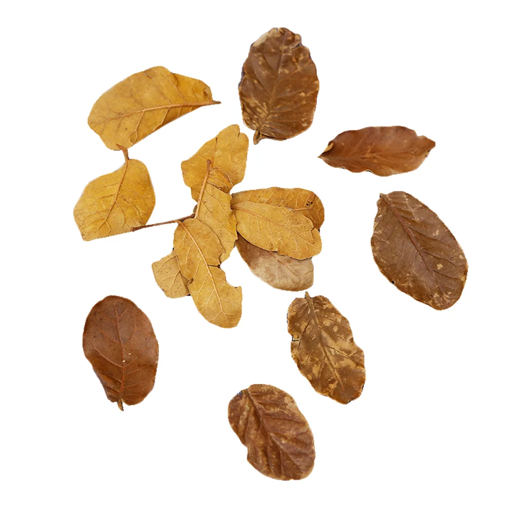 

10 Packs Table Decorations Vintage Dry Leaves Bouquet Props DIY Crafts Natural Material Ornaments