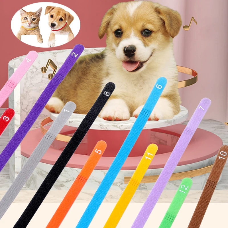 

Classic ID Collar Bands Puppy Identification Chain Pet Supplies Distinguish 6pcs Fleece Dog's Collars Colorful 12Pcs
