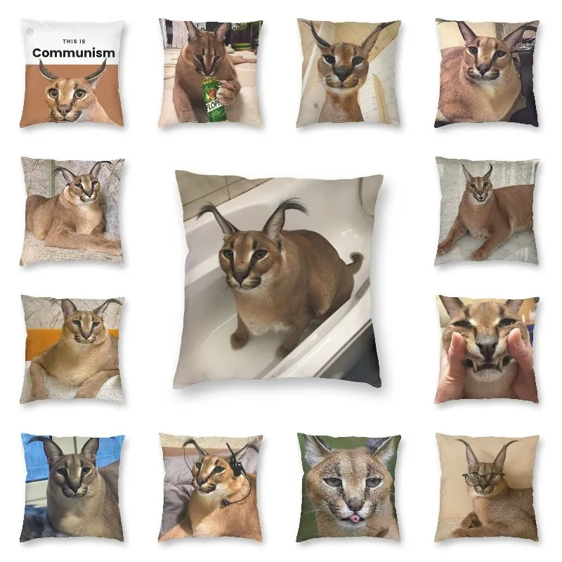 

Cacal - Square Cushion Cover Cat Shaped Pillowcase Large Floppy Funny Animal Sofa Decoration 45x45cm