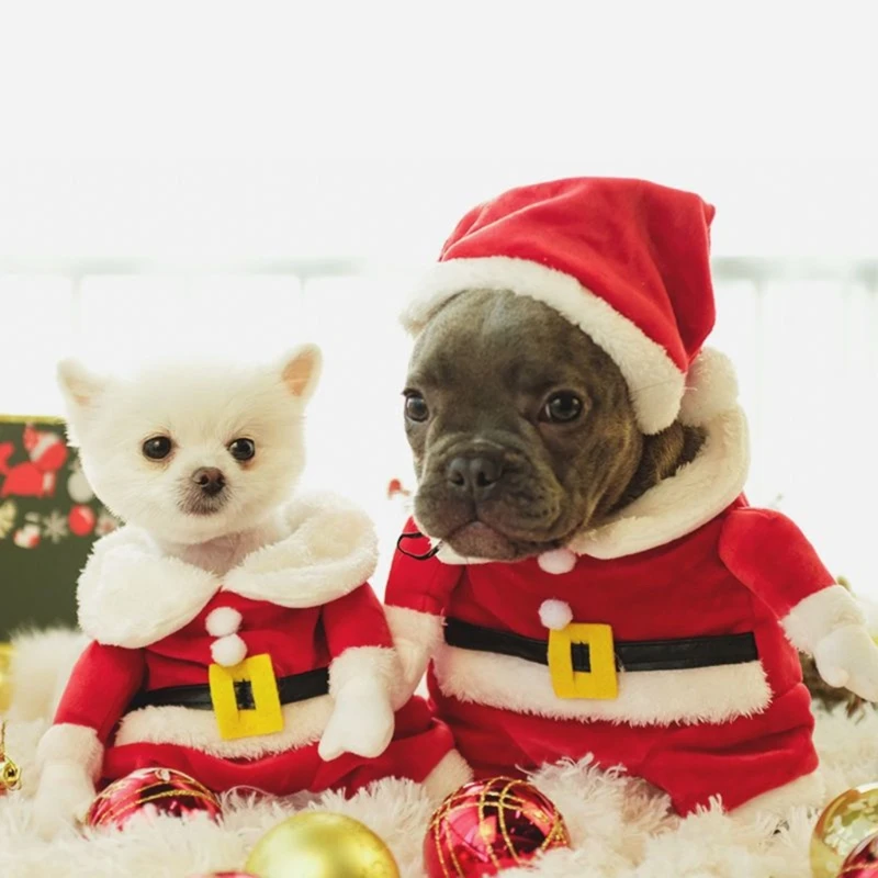 Santa Clause Suit Red Hat & Jackets Fashion Cat Dog Plush Costume Pet Supplies