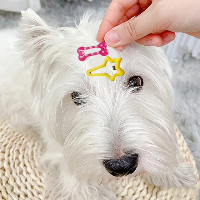 10/20/30pcs Pet Hairpin Puppy Dog Bone Hair Clips Kitten Hair Grooming Pets Puppy Hair Decoration Random Color Pet Supplies 5