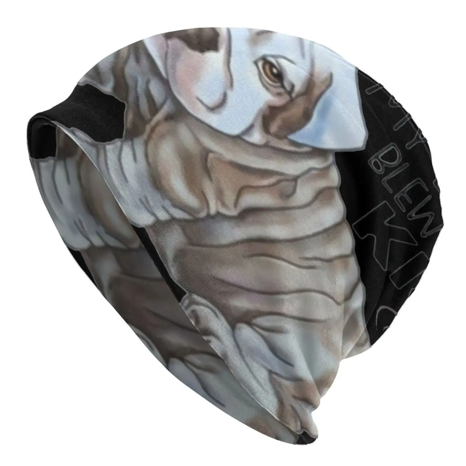 

Мужская кепка с английским бульдогом, Мужская Зимняя кепка, мужские кепки для Wo, Мужская русская Кепка, кепки для мужчин, женская мужская бей...