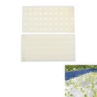 100pcsset sponge for seedling vegetables nursery pots soilless hydroponic flower seed groundless cultivation system seed trays