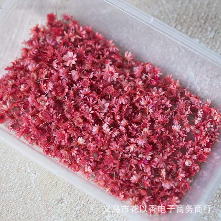 140 шт. натуральные сухие цветы для рукоделия скрапбукинга | Дом и сад