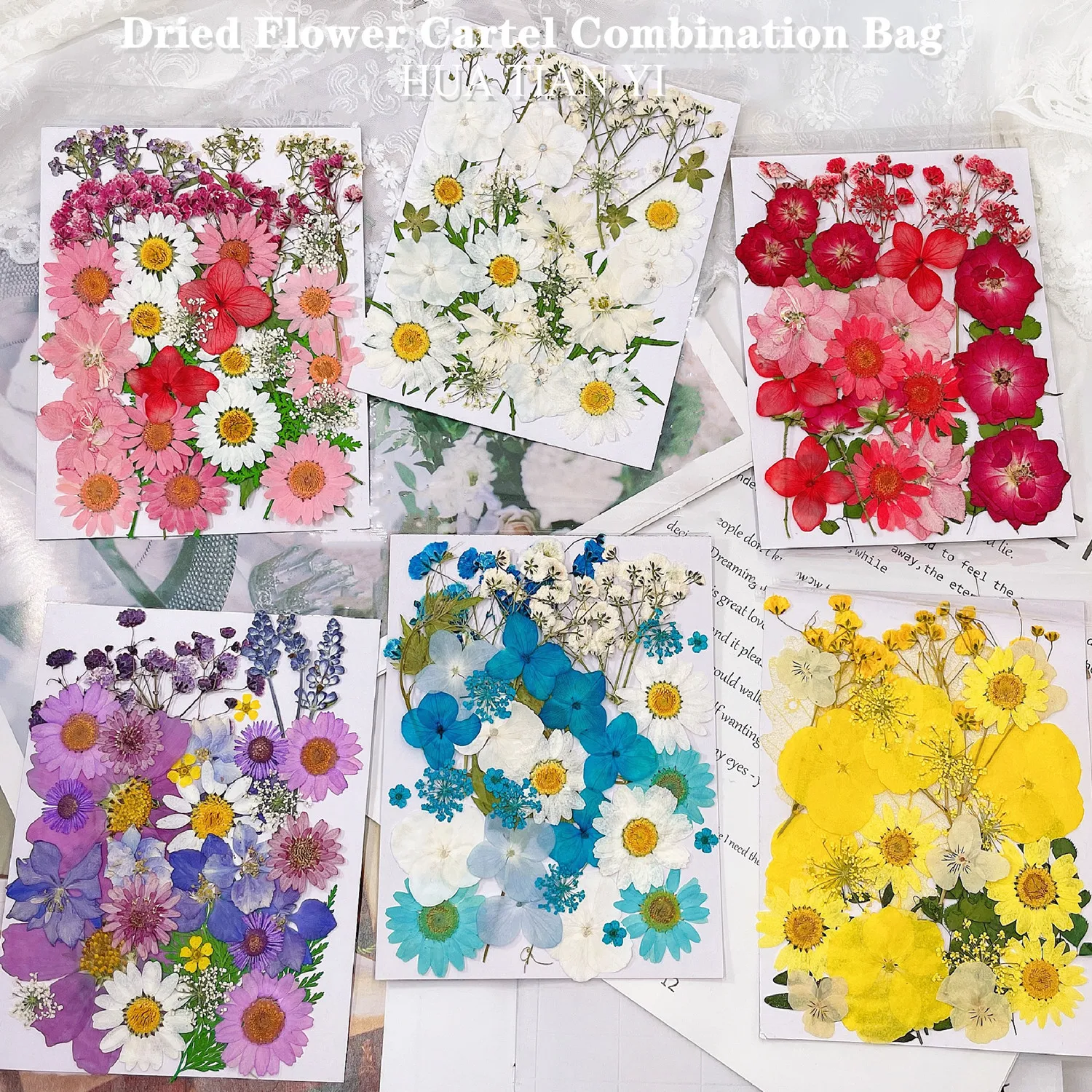 

1 Bags Real Dried Pressed Flowers Leaves Natural Chrysanthemum Daisy Decorative Materials for Petal Face makeup