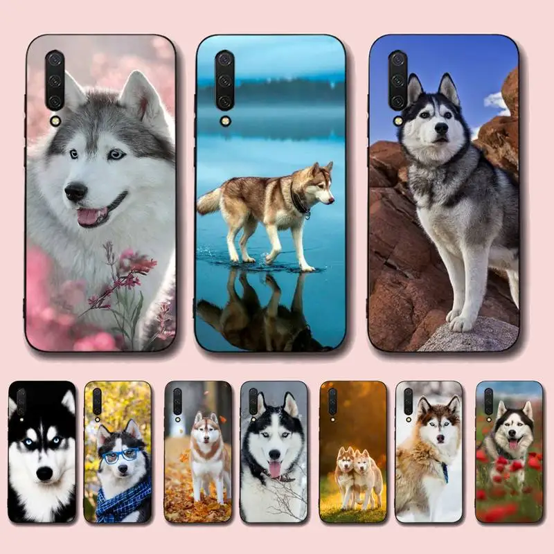 

Alaskan Huskies dog Phone Case for Xiaomi mi 5 6 8 9 10 lite pro SE Mix 2s 3 F1 Max2 3