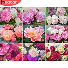 HUACAN живопись по номерам пионы цветочные наборы для взрослых ручная роспись DIY Раскраска по номерам цветочный Рисунок декора для дома на холсте