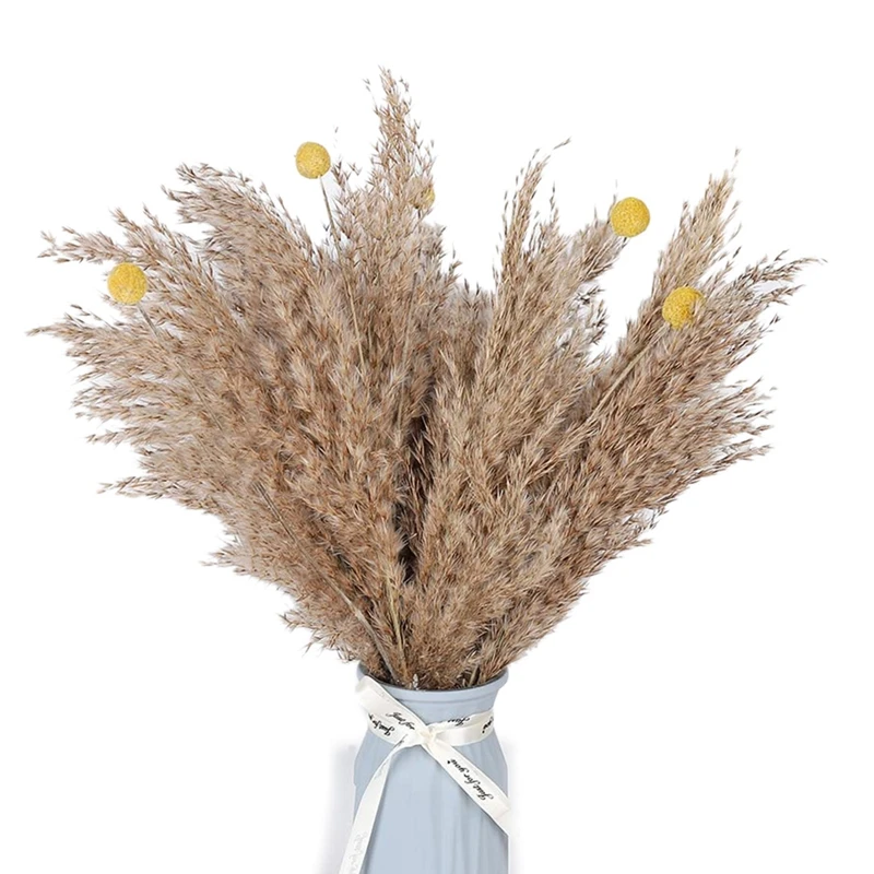 

Dried Pampas Grass Decor Dried Flower Plants Natural Dried Pampas Grass for Valentines Day Gift Home Arrangement Wedding