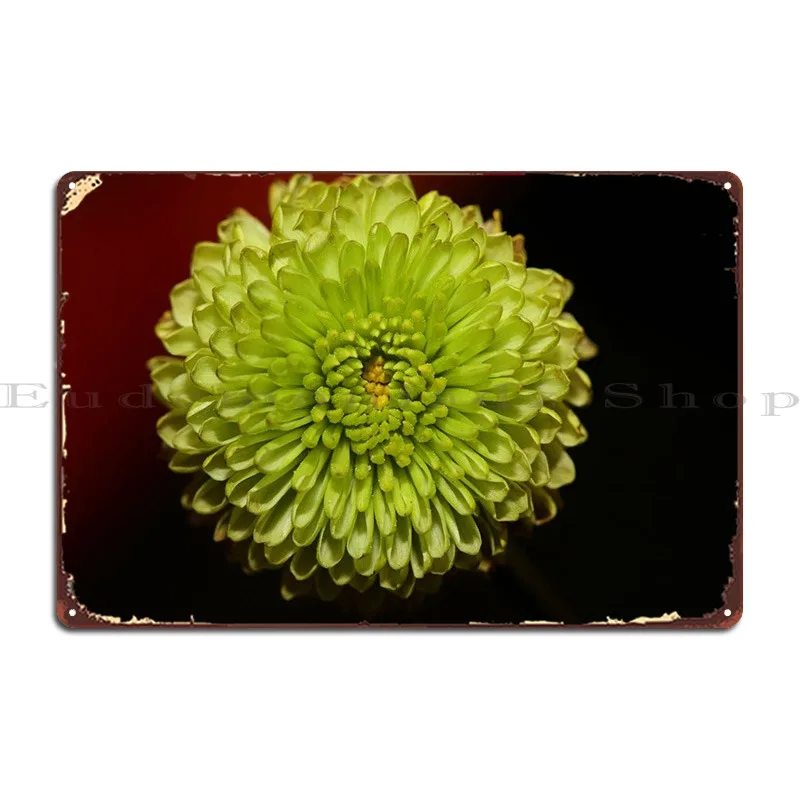 

Зеленая Хризантема макро металлический плакат с печатью для гаража кинотеатра
