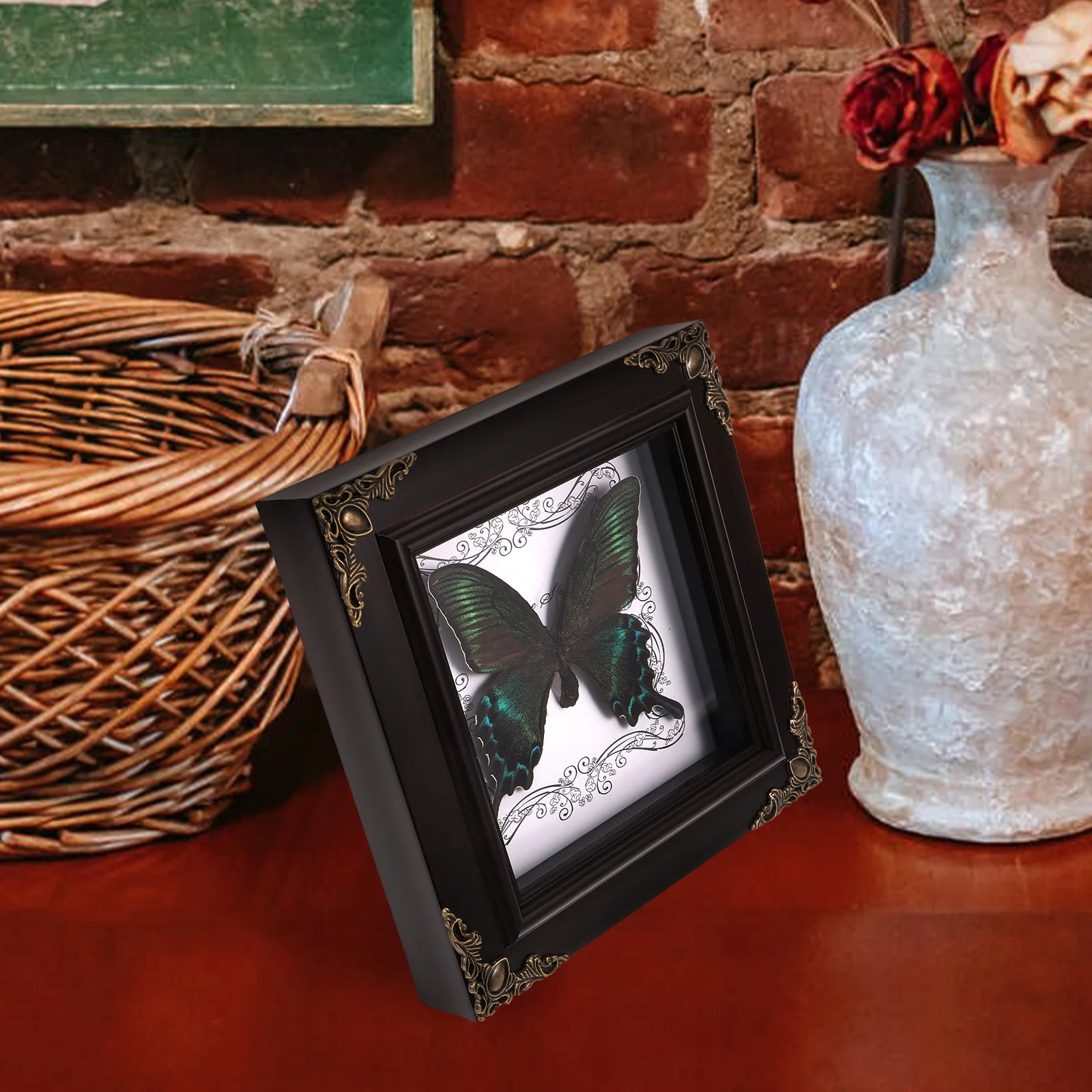 Образец бабочки фоторамка дисплей настольный домашний декор монарх таксидермия