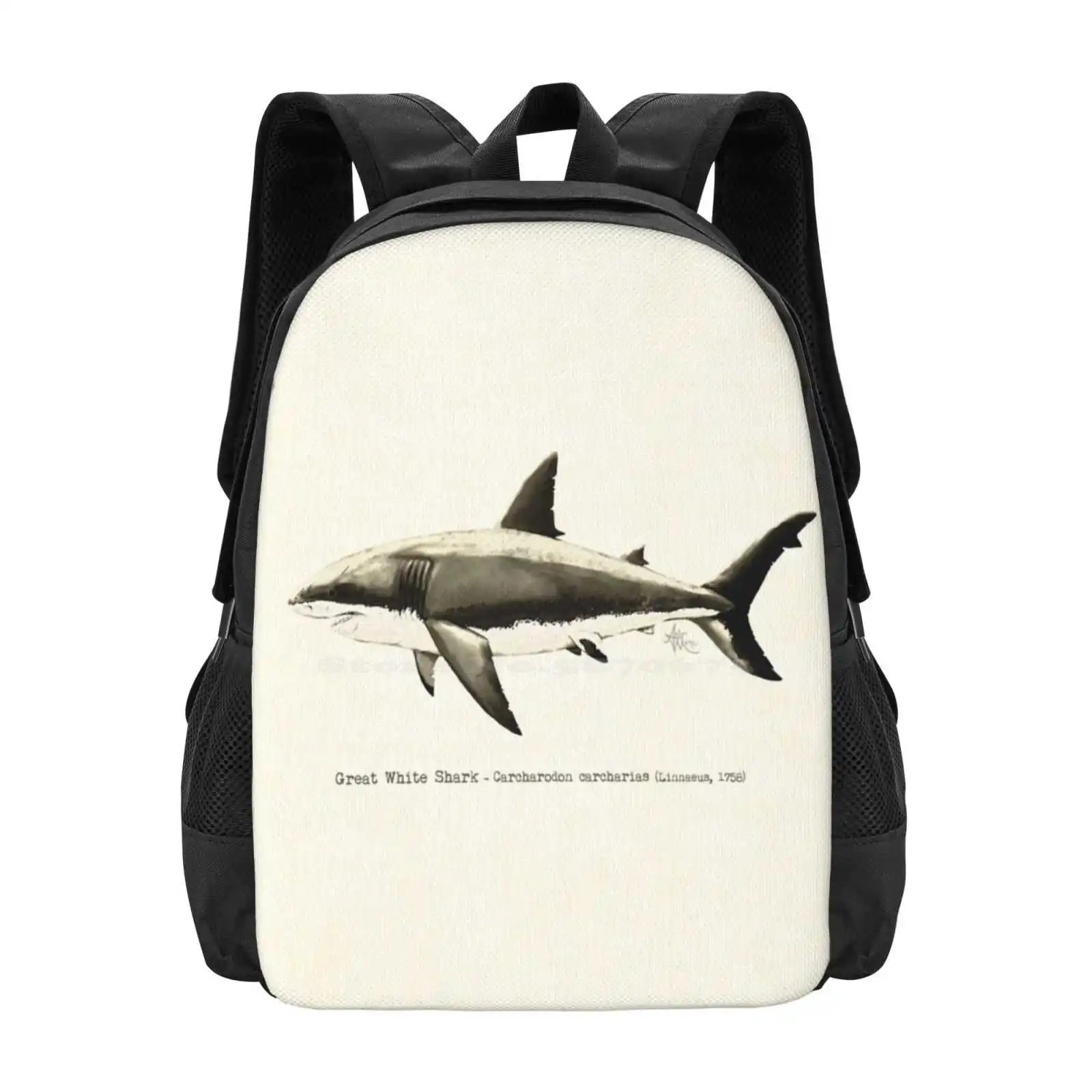 

Carcharodon Carcharias By Amber Marine , Great White Shark Illustration Art 2015 School Bags For Teenage Girls Laptop