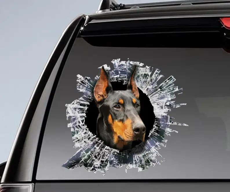 

Doberman window sticker, car sticker, black Doberman car decal
