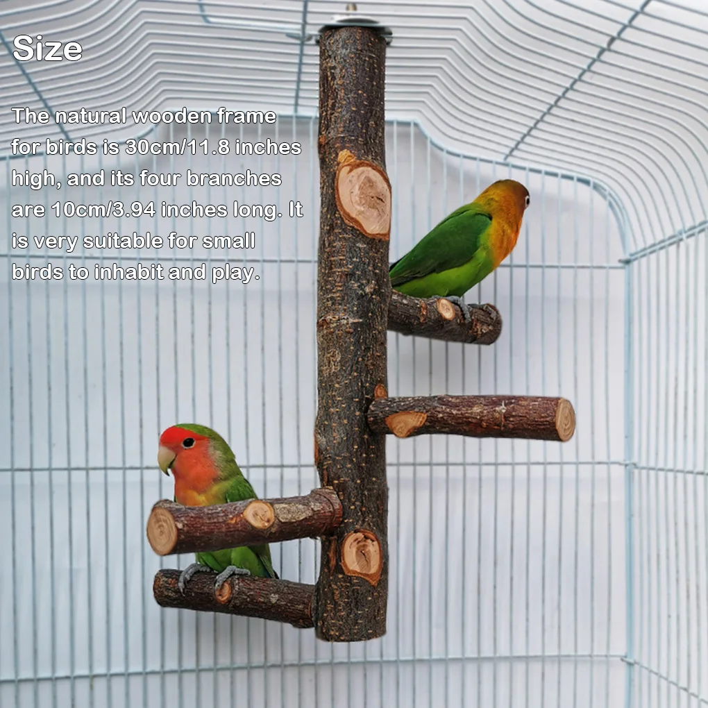 

Pet Parrot Stand Claw Grinding Toy Wear-resistant Perch Toys