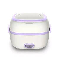 multifunctional electric heating lunch box mini rice cooker portable food steamer heat preservation electronic lunch box persona
