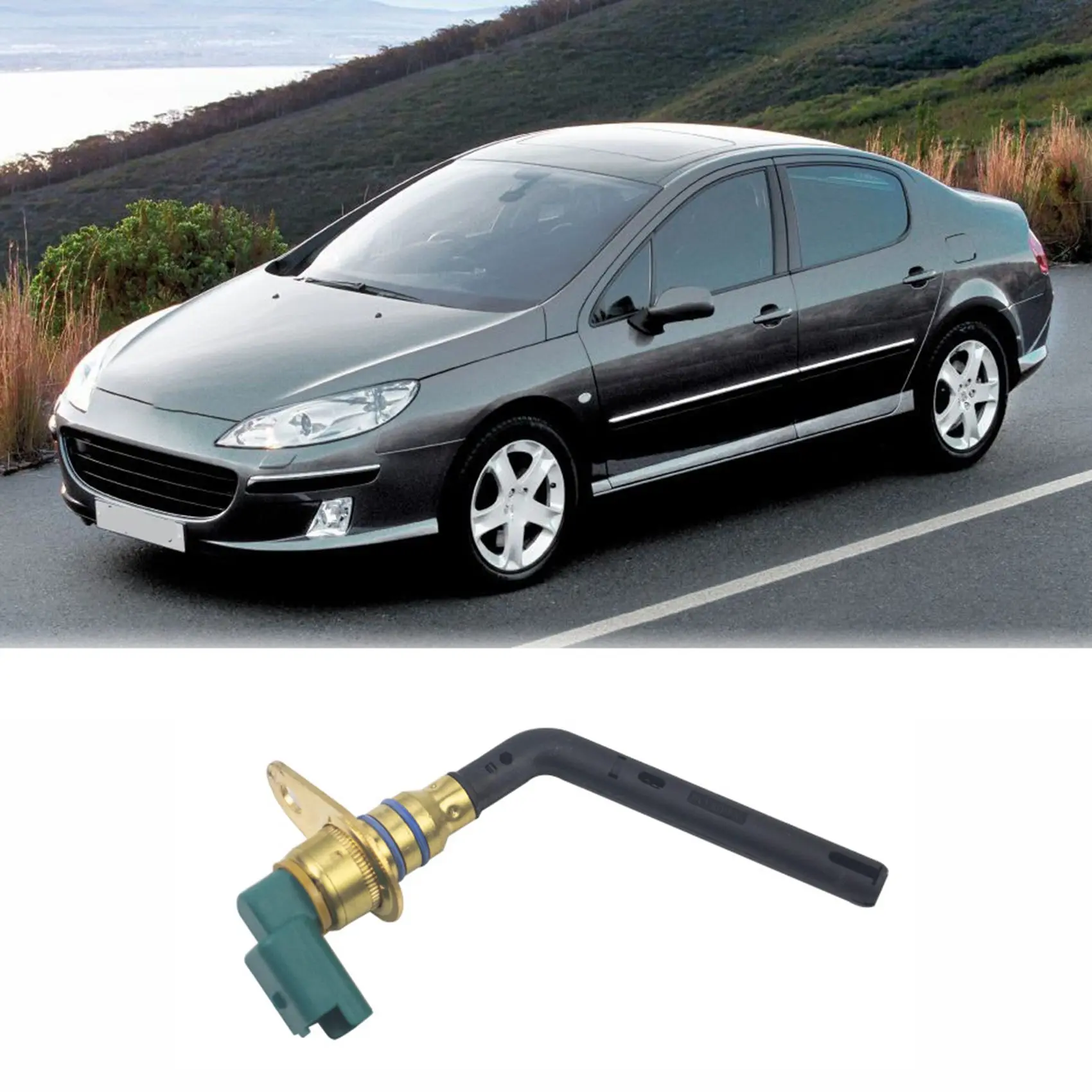 Автомобильный датчик уровня масла двигателя 1131E5 для Peugeot 206 307 407 607 Citroen C4 C5 |