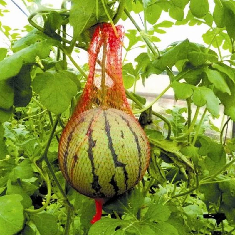 100pcs Watermelon Net Durable Heavy Duty Hammock for Garden Yard Melon Cradle Hanging Bags with Drawstring