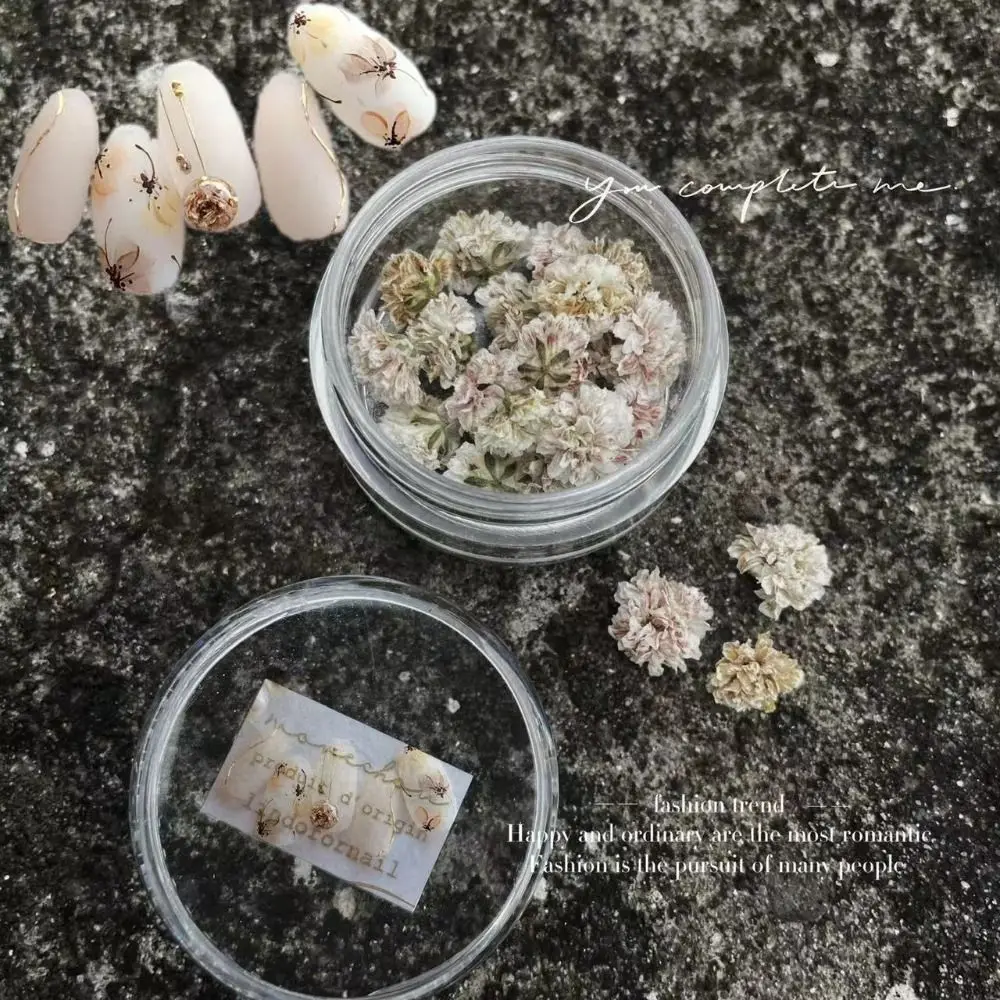 

Color Dried Flowers Manicure Accessories Ball-Flower Manicure Decoration Nail Decals Nail Art Stickers Nail Art Decor