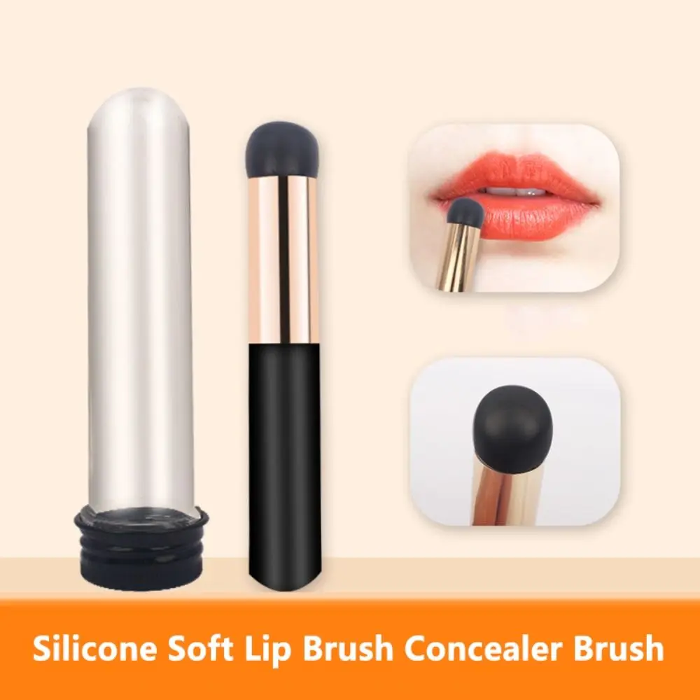 

Brushes Eye shadow Round Head Women with Protect Tube Lip Mask Brushes Lip Brushes Concealer Brush Lipstick Applicators