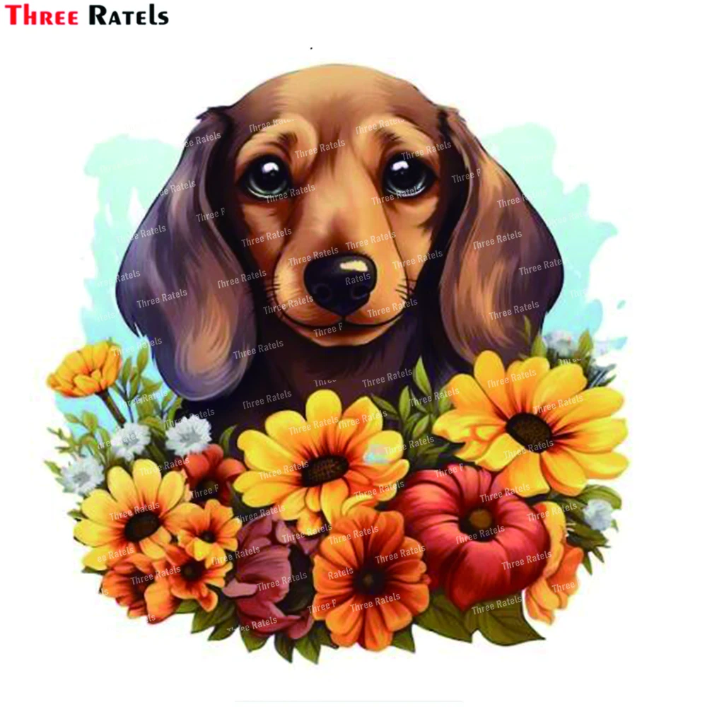 

3D обои Three Ratels M44 Цветочная такса