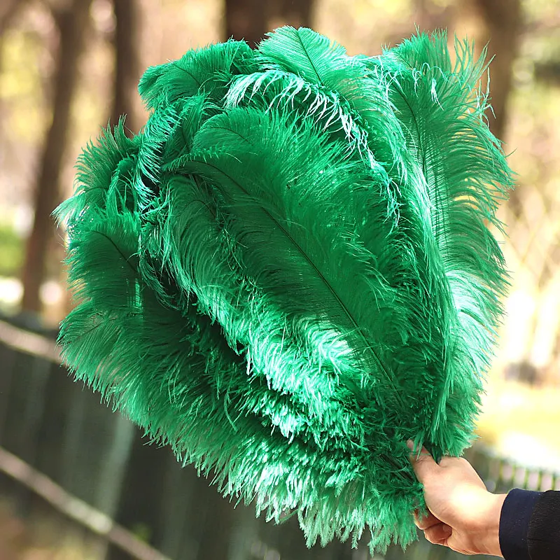 10 шт./партия декоративные перья страусиного дерева |