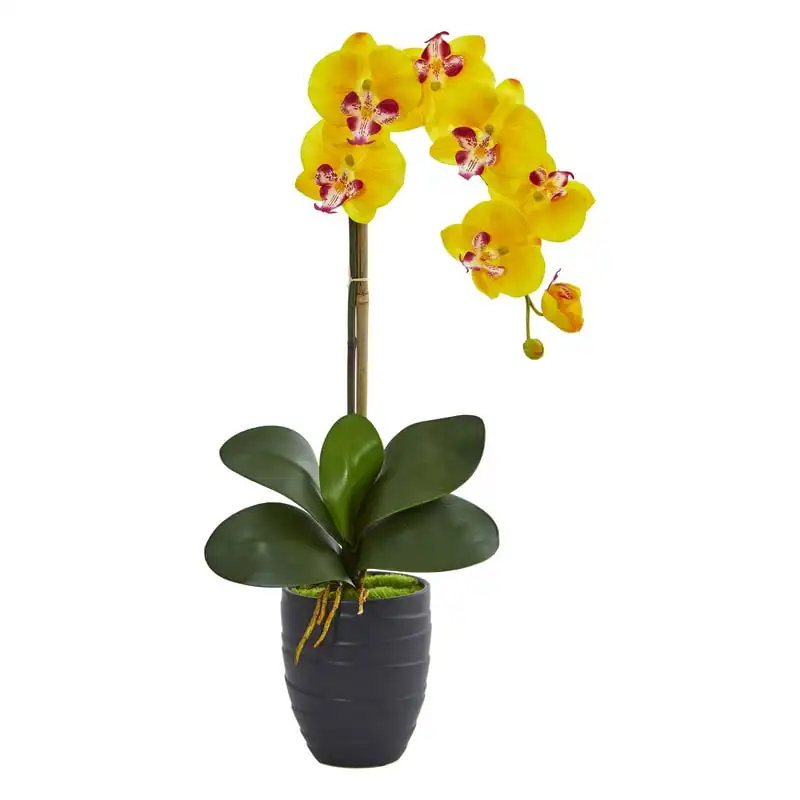 

Phalaenopsis Orchid Artificial Arrangement in Ceramic Black Vase, Yellow