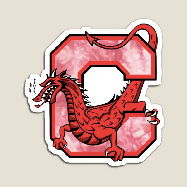 

Tie Dye Suny Cortland Logo Magnet Decor for Fridge Organizer Children Toy Cute Stickers Baby Funny Refrigerator Holder Kids