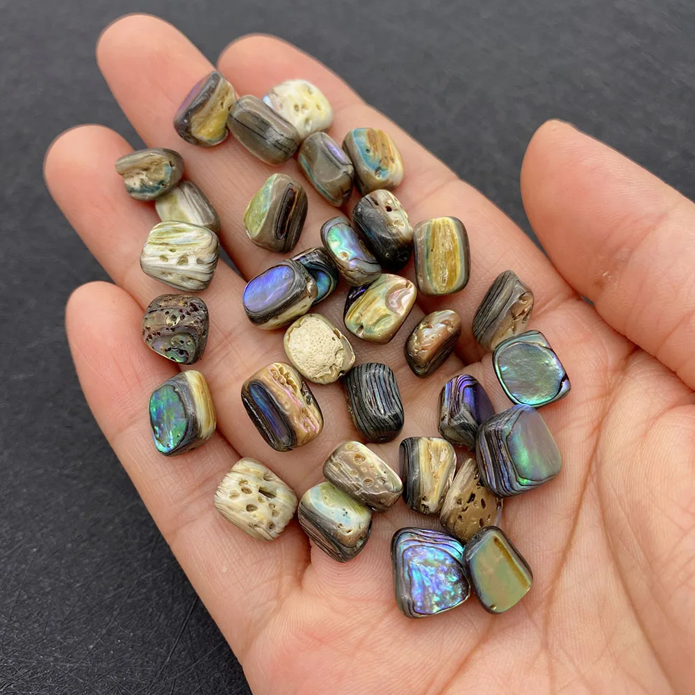 

10mm Natural Irregular Shell Loose Beads New Zealand Abalone Shell Beads Charm Ladies DIY Handmade Fashion Jewelry Accessories