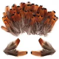 50pcs natural small pheasant feathers for crafts 3 8cm jewelry wedding party handicrafts accessories chicken clothes decoration