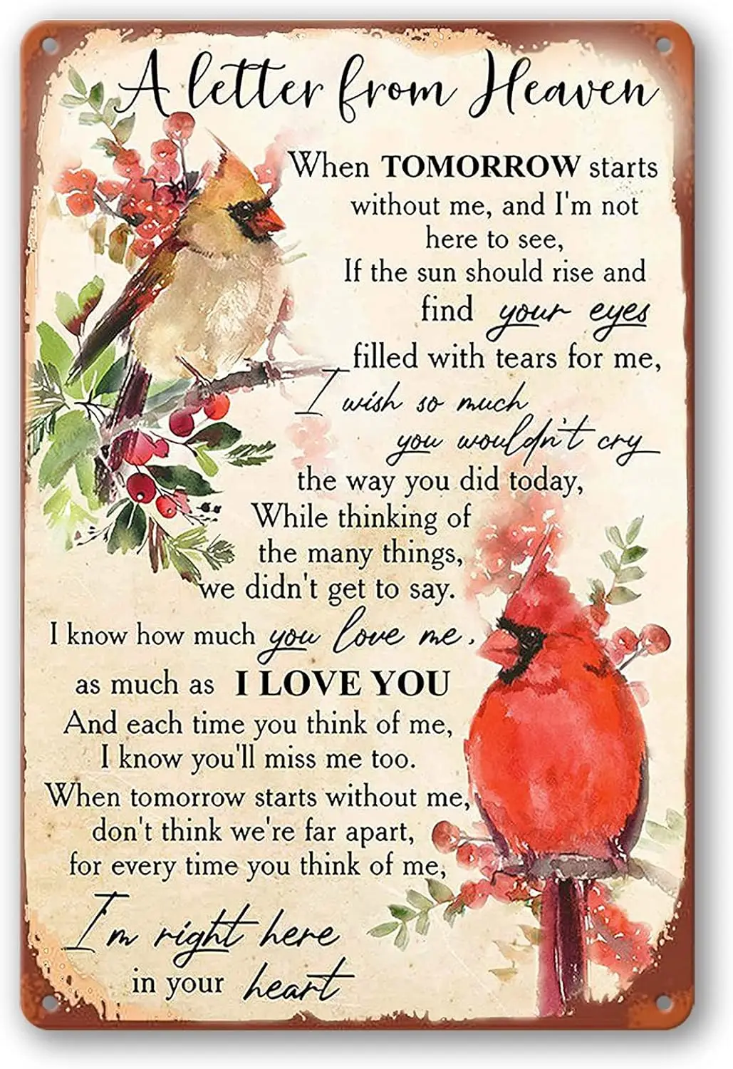 Винтажный металлический знак Cardinal Sign Warm Wish Red Bird, надпись из Heavenn, стихотворение, жестяной знак для украшения стен дома