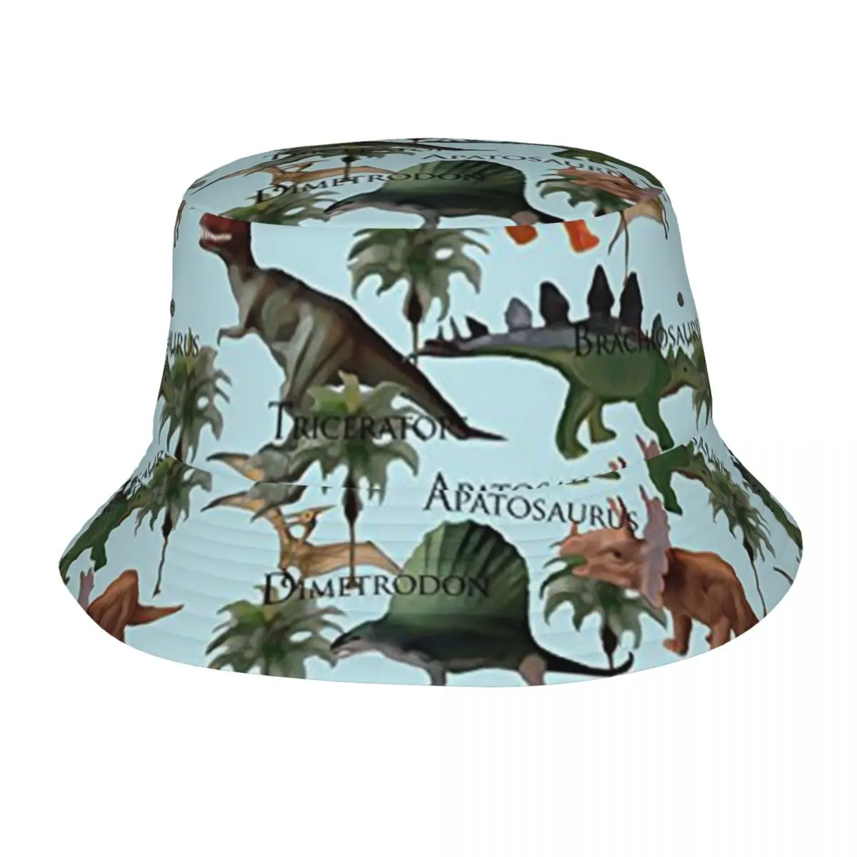 

Dinosaurs Outdoor Fisherman Cap Beach Hats SunCaps Men Women Bucket Hat Panama Hats Bob Hats For Women