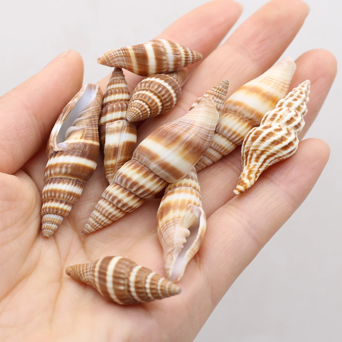 

100g About 40 Pcs Natural White Striped Shell Beads DIY Wind Chimes Handmade Jewelry Aquarium Fish Tank Landscape Accessories