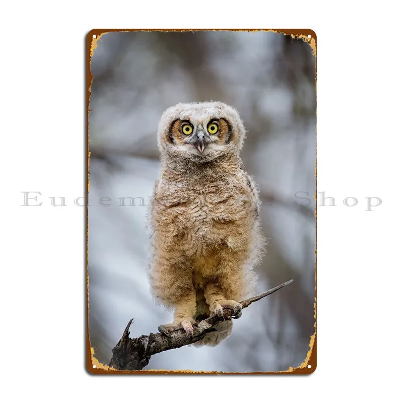 

Металлический плакат с изображением милой Совы покраска кинотеатра классический жестяной плакат
