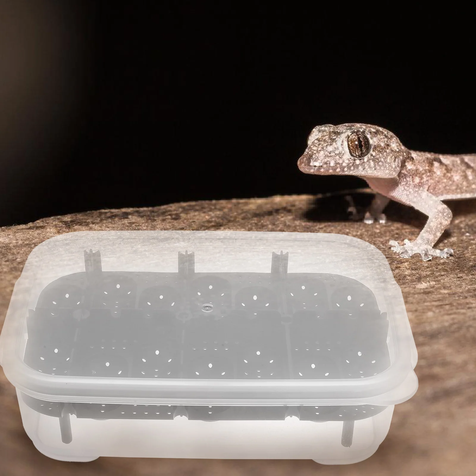 Леопардовый принт коробка для разведения рептилий животные 14-секционный