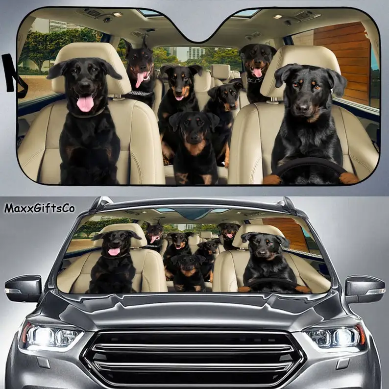 

Beauceron Car Sun Shade, Beauceron Windshield, Beauceron Family Sunshade, Dogs Car Accessories, Dogs Lovers Gift, Car Decoration