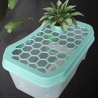 mini turtle tank with basking platform 5 area design translucent tortoise box habitat breeding tools