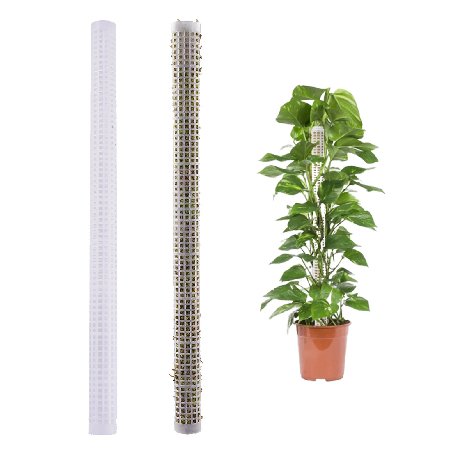 

Plant Climbing Supports Sturdy Mesh Design Sturdy Floral Plant Support Stakes Easy To Use Flower Supports For Garden Outdoor