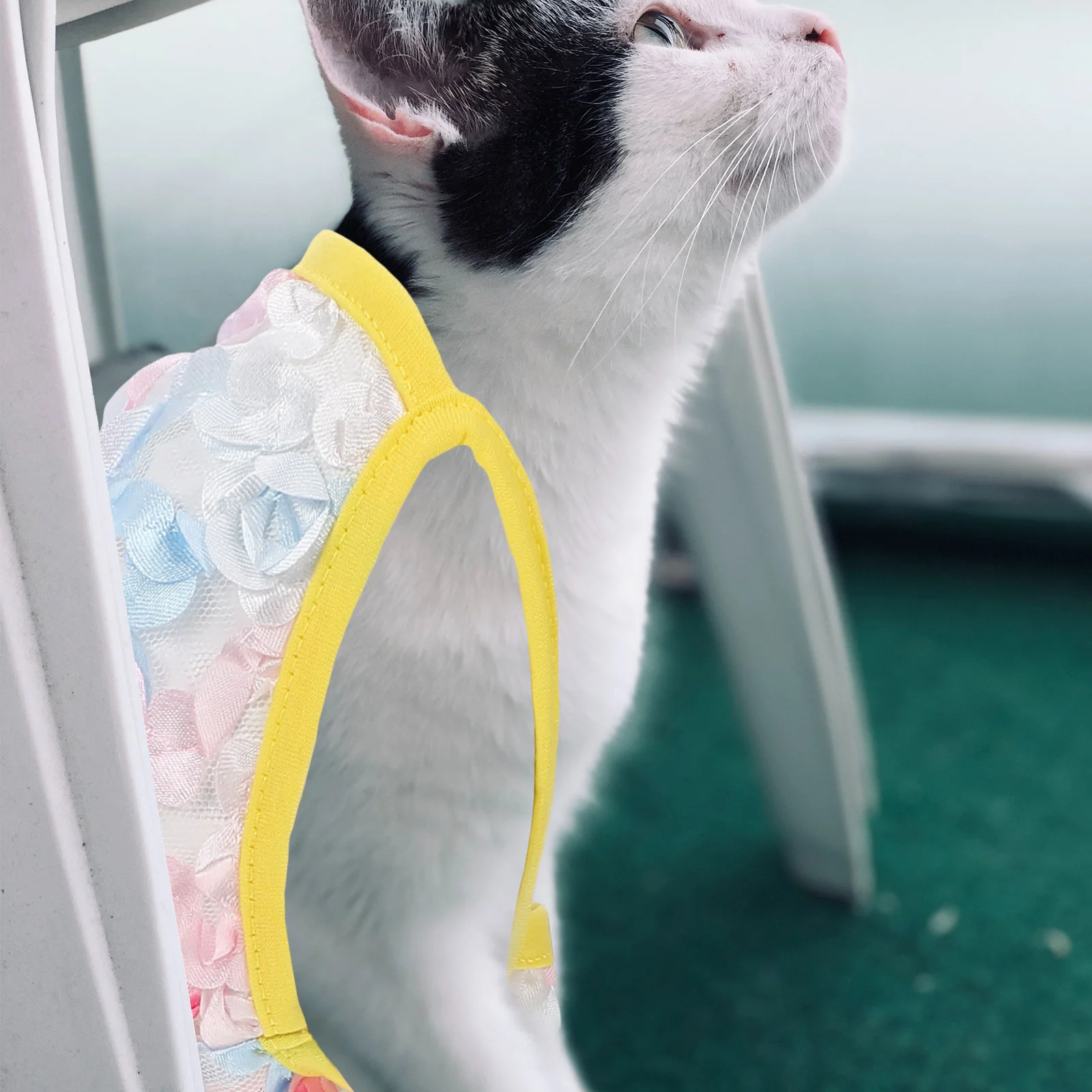 

Pet Vest Supply Dog Clothes Decor Cat Lovely Thin Type Breathable Shirt Daily Costumes Accessory Portable Summer Dress