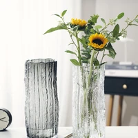 light luxury nordic simple glass vase transparent water cultured flowers table vase ornaments
